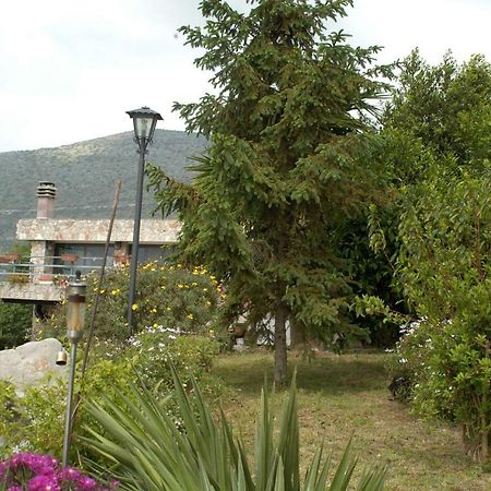 B&B La Vecchia Scuola Sonnino Zewnętrze zdjęcie